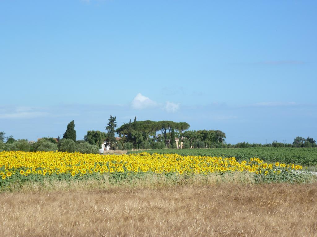 Casa Vacanze Vignarca - Localita Perelli Riotorto Exterior photo